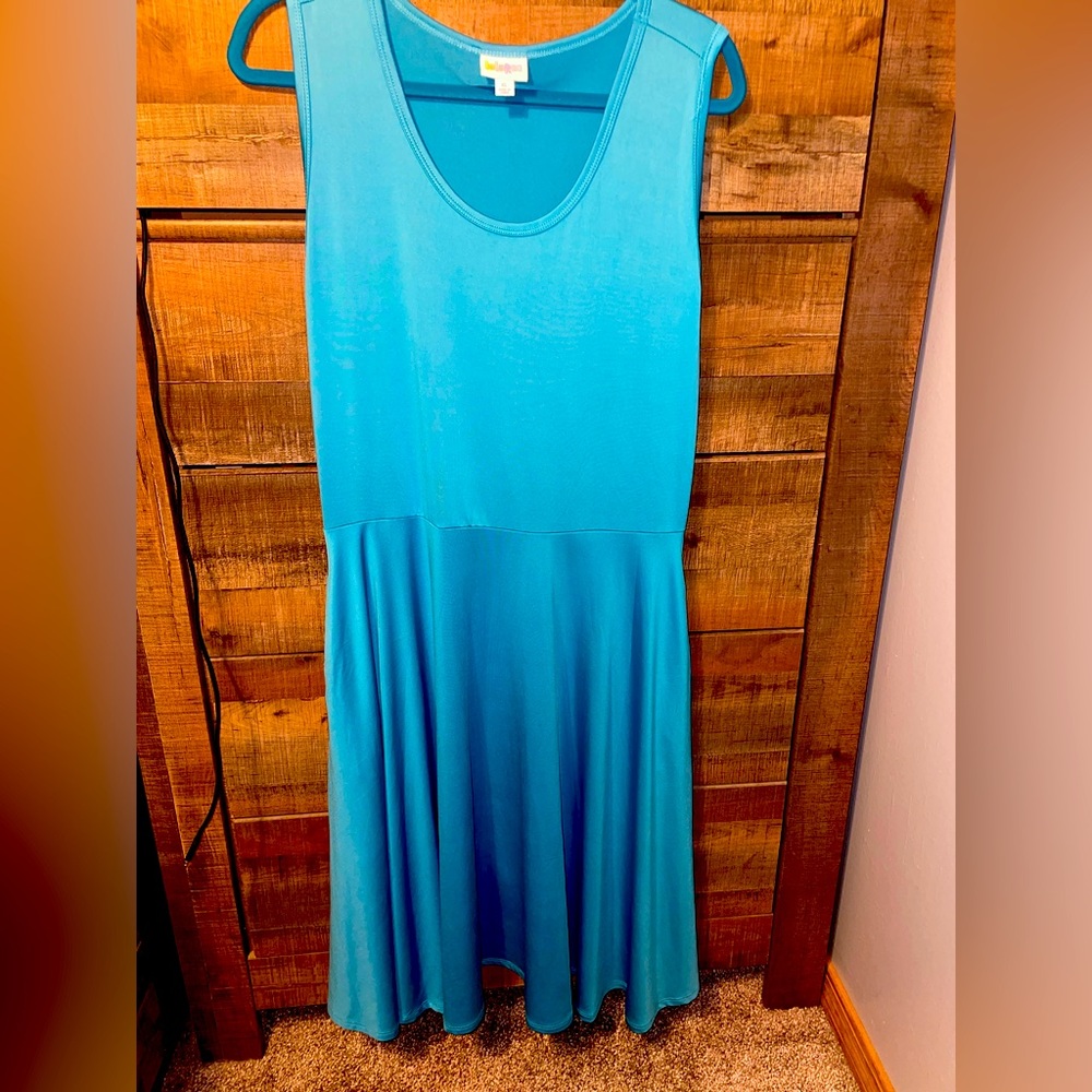 XL Lularoe Nicki dress